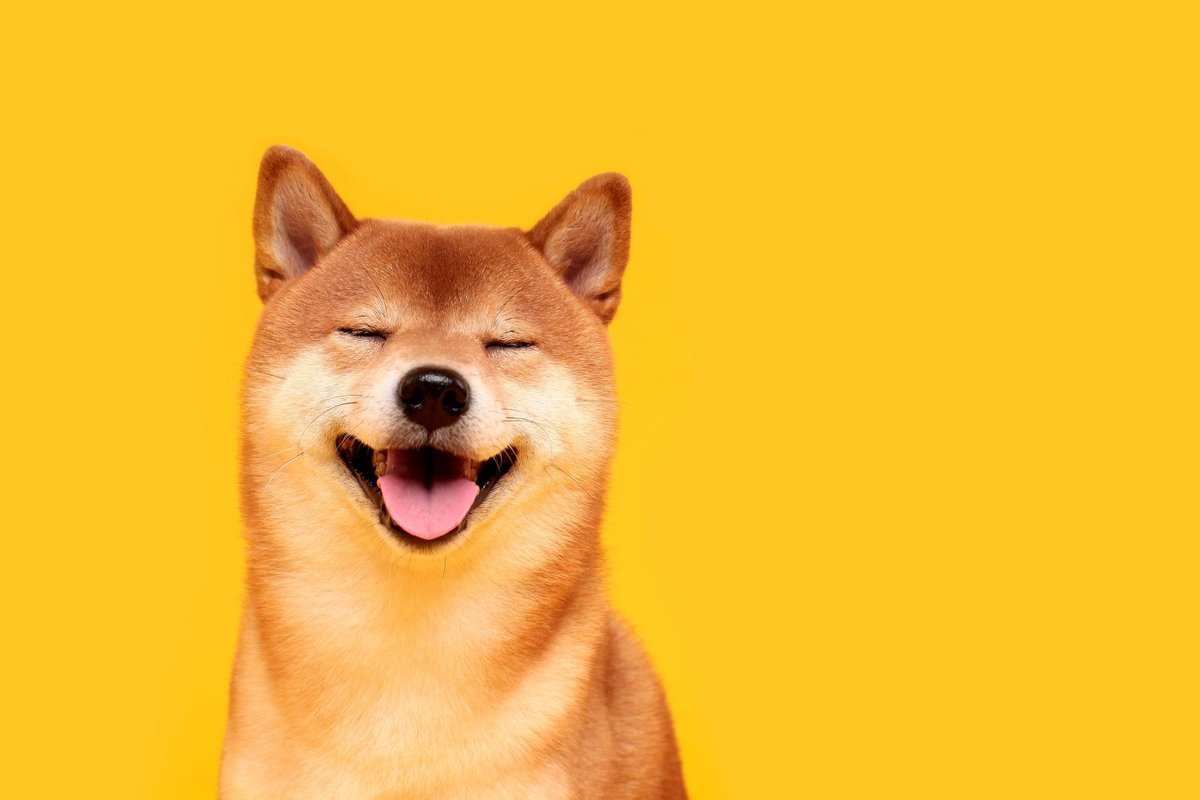 BallinTraders's tweet photo. With this and @coinbase CEO announcing dogecoin will be listed in #coinbase we are expecting rise of #dogecoin 🚀🚀 https://t.co/HaB39MOQaY