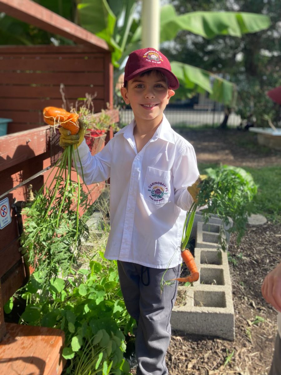 What a fabulous Friday. Celebrations of success, sport, playtime in the sun, farmers market, yoga, social skills. The list is endless. #LoveWhereYouLearn <a href="/caringbah_p/">Caringbah PS</a> <a href="/Peterjrouse/">Peter Rouse</a> <a href="/NSWEducation/">NSW Dept of Education</a> <a href="/nswppa/">New South Wales Primary Principals’ Association</a>