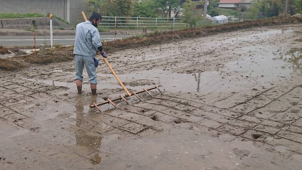 広島県立油木高等学校 على تويتر 先日 5 12 1年生で田植えを行いました 昔ながらのやり方 で植付用の線を引き 一列に並んで植えていきました 初めて田んぼに入る生徒もいましたが みんな泥だらけになりながら楽しく田植えをすることができました 油木高校