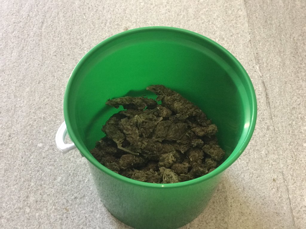 MAGOHING1's tweet photo. We sell R20/joint bigger than The Leonardo in #Sandton or You Can Get

🌿 Full Party Bucket = R550
🌿 Half Party Bucket = R300

🔥Minimum Order 20 joints
🔥Free Delivery Within City Of Joburg
🔥Orders Strictly Via DM

#Sandton #Joburg #Greenstone #Alexandra #LinbroPark #Buccleuch https://t.co/teBU3xAc2A