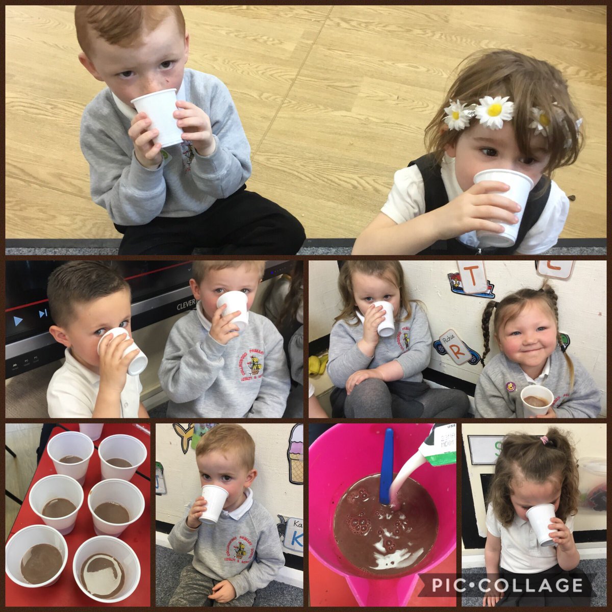 CollingwoodYrn's tweet image. We used cows milk to make hot chocolate 🥛☕️ #observingchange #farmtopic
