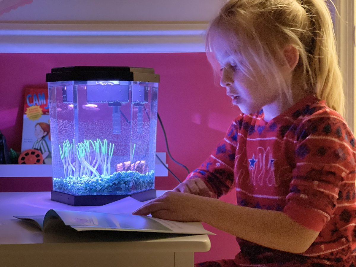 Kate Carroll tweet media