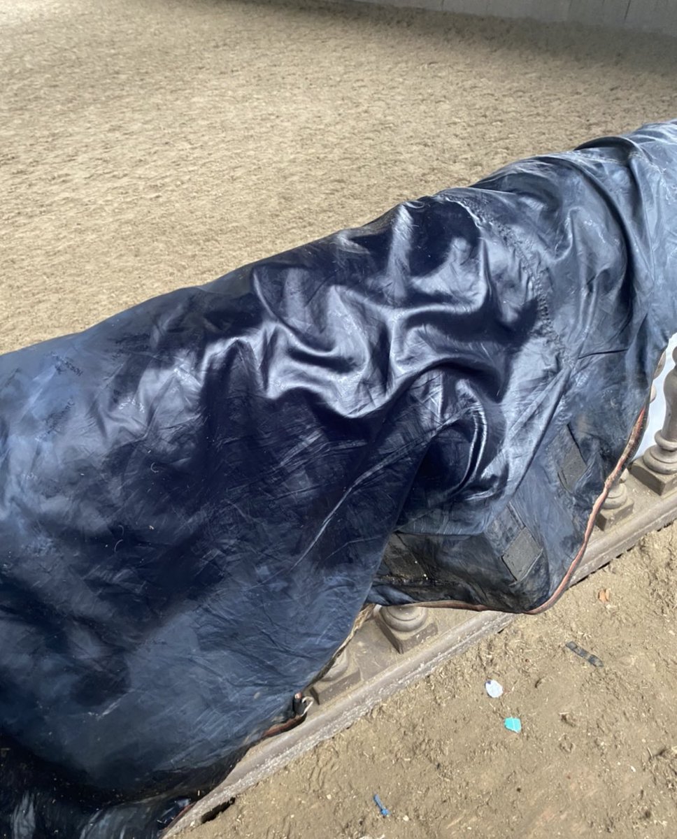 Philippa Ingleby tweet media