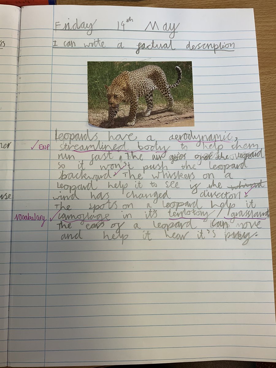 ABCPschool's tweet image. “Miss Simmons, how do you spell aerodynamics?” 

WOW. What a fantastic piece of writing. Look at all that amazing subject specific vocabulary Andrew has pulled from science lessons and used in his English writing today.

#Class2S #ABenglish