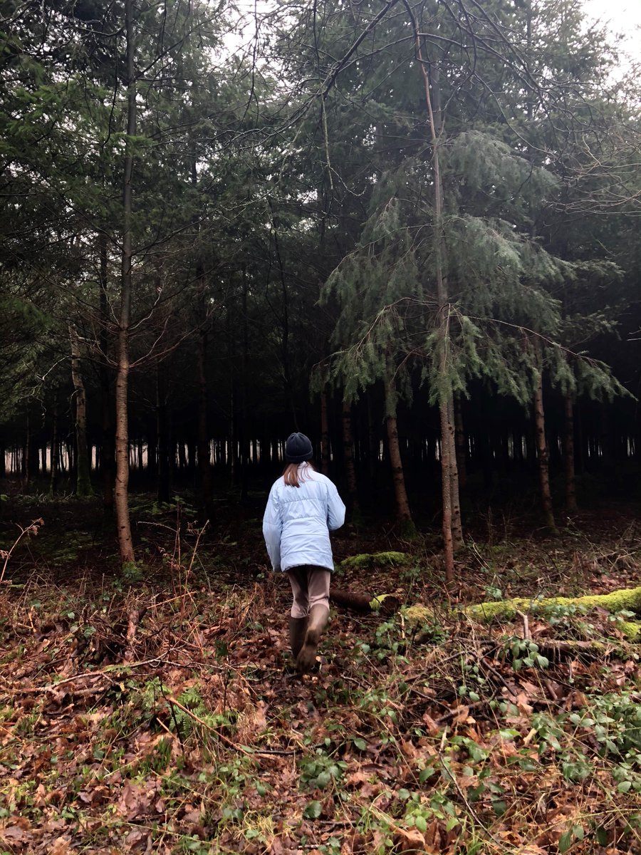 Royal High School PSHEE tweet media