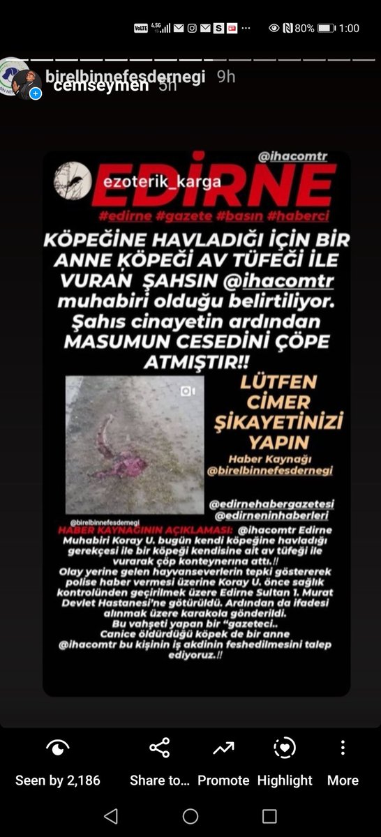 Edirne <a href="/ihahaber/">İhlas Haber Ajansı</a> muhabiri, mesleğin yüz karası bu cani, sapık katili cezalandırın. İhlas Haber Ajansı bu gözü dönmüş psikopatı kadrosunda tutacak mı? <a href="/TBMM/">Amadeus</a> hayvan hakları yasasını çıkarmıyor, bu cinayetleri cesaretlendiriyor. Toplum vicdanında sen mahkumsun Koray Ustabaşı.