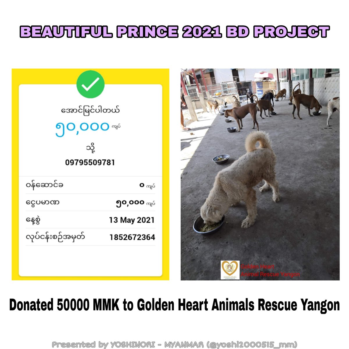 Yoshinori Myanmar Yoshi Mm Twitter