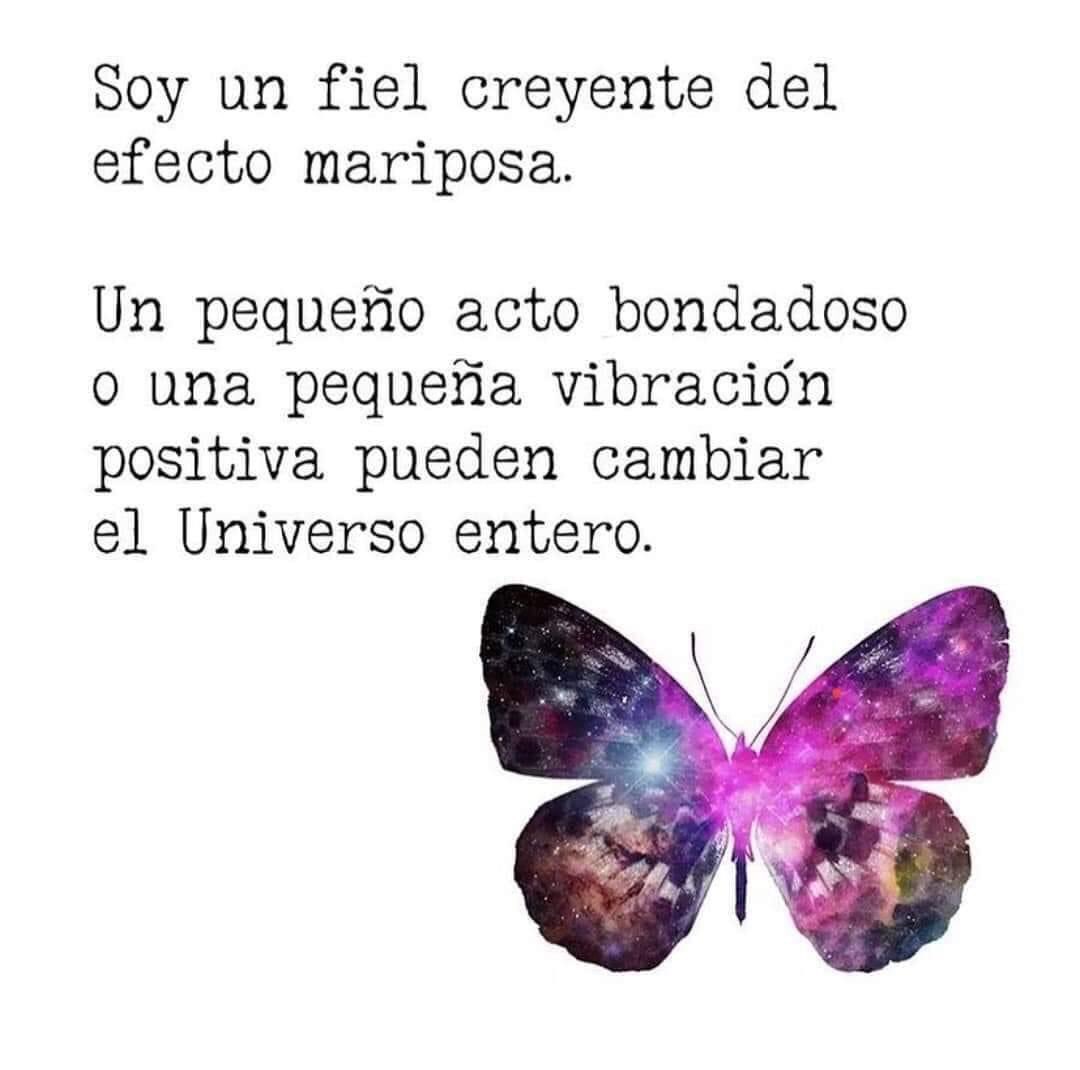 EnNombredeMi's tweet photo. 🦋 https://t.co/G47gUkEh6m