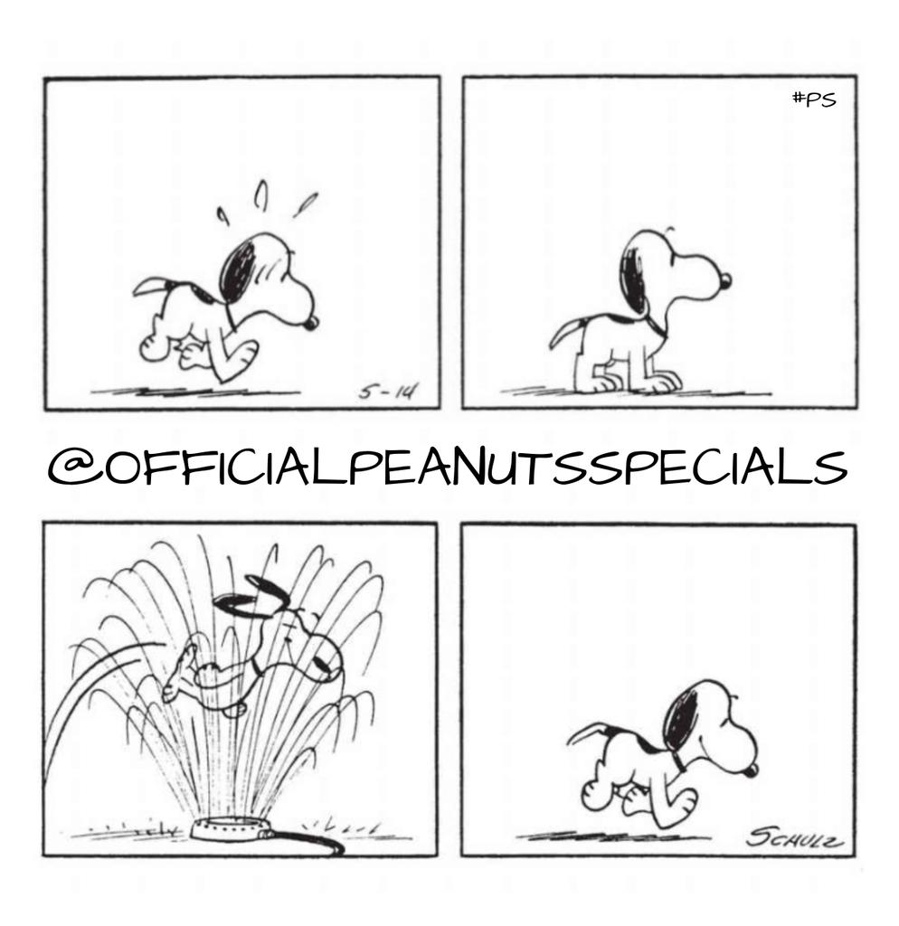 PeanutsSpecials's tweet photo. First Appearance: May 14, 1962
#snoopy #peanutsfriday #peanutshome #schutz #ps #pnts #peanuts #officialpeanutsspecials https://t.co/t8Ttbjs2Ne