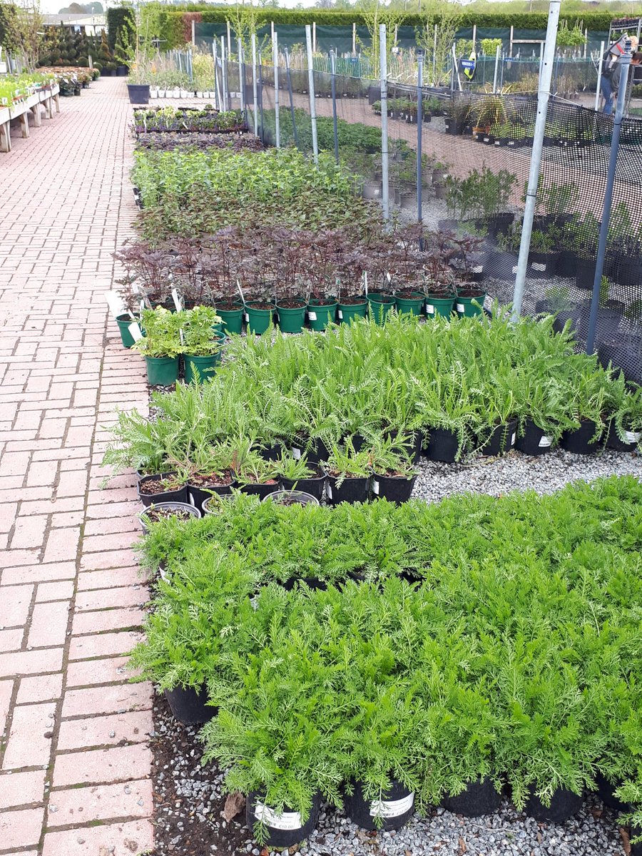 Provender Nurseries tweet media