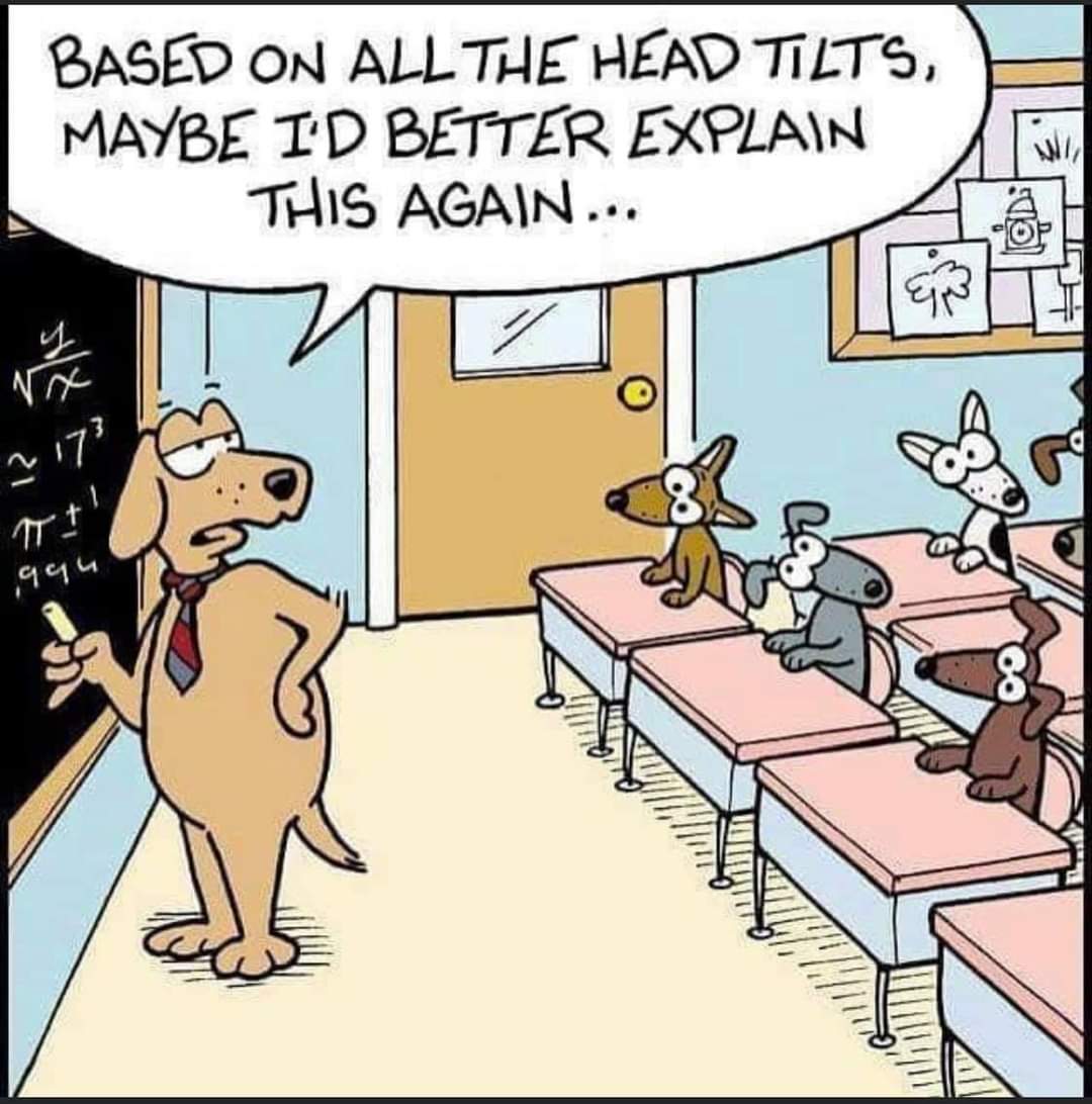 teachergoals's tweet photo. Hilarious! 😂🤣 https://t.co/ezBSARxob9