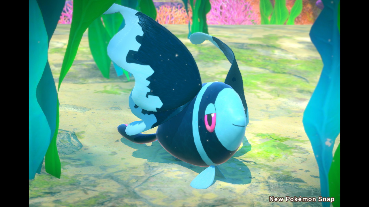 Uzivatel ユキハル Na Twitteru ネオラントかわいい Newポケモンスナップ Newpokemonsnap Nintendoswitch T Co Y9ga2dtyft Twitter