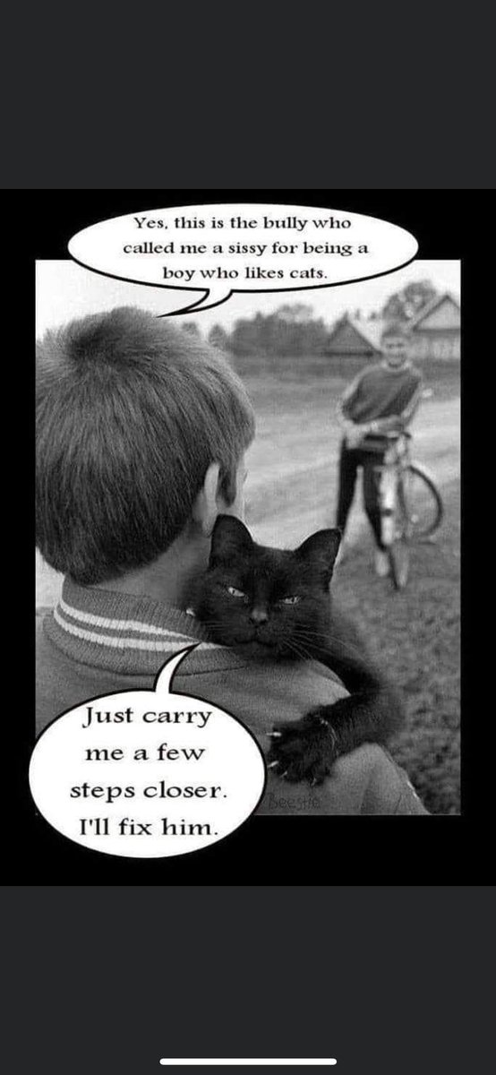 TheodoreSeries's tweet photo. Don’t mess with our cats because they will mess with you 🐾🦁
.
.
#catmeme #catmeme #blackandwhitephoto #antibully #fixhim #boysandcats #littleboysarethebest https://t.co/51CnAkZSHz