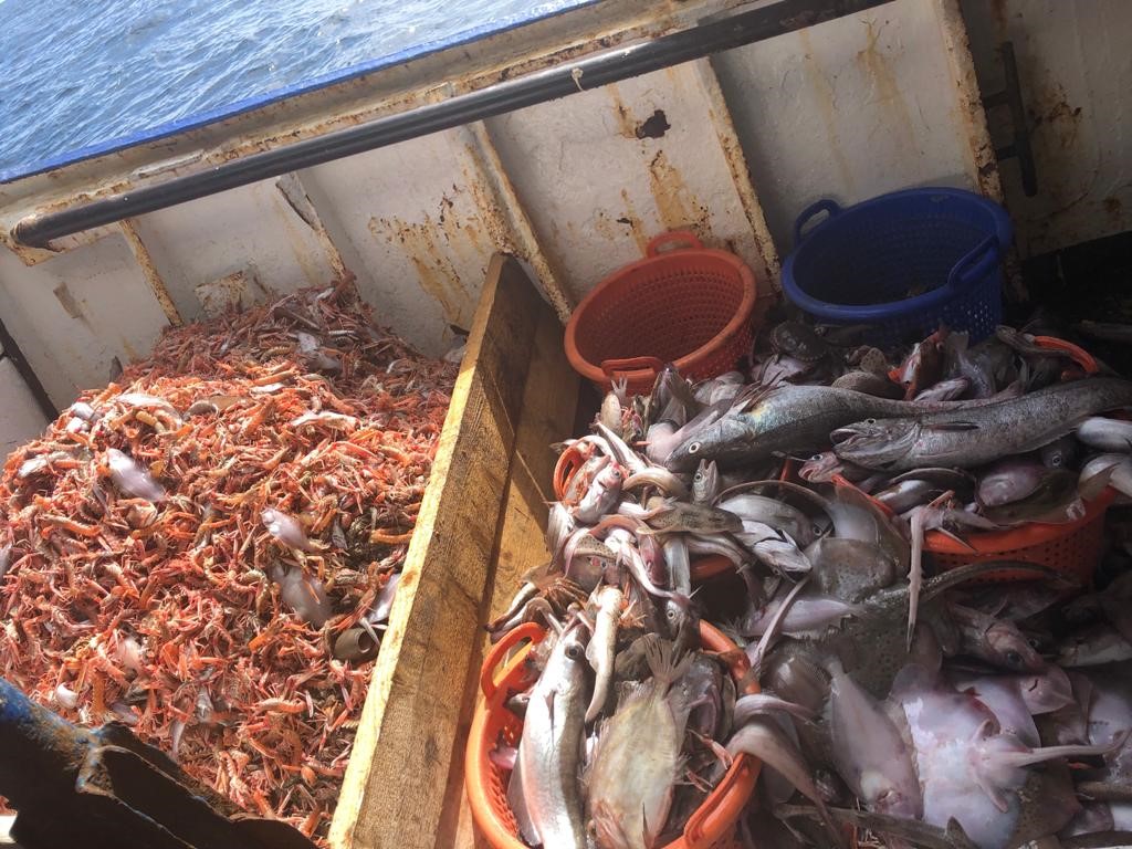 BIM and Steven Dirrane of the MFV Kittiwake are off the Aran Islands, on this sunny Galway afternoon, carrying out Dual codend trials. The Dual separates prawn and fish to improve sorting time, reduction in undersize catch and to improve fish quality.