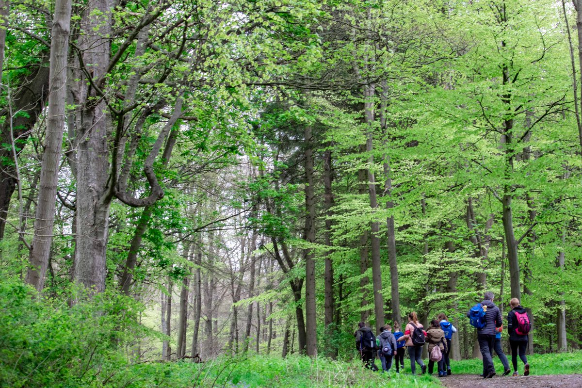 TheBigSmileUK's tweet photo. Fantastic day at @RabyCastle with a group of pupils from @CorporationRoad Primary School in #Darlington.
They walked four miles with walk leaders Keiron and Richard, learning lots about local flora and fauna along the way.
The kids were amazing - a real credit to their school! https://t.co/bAT5vKxdBE
