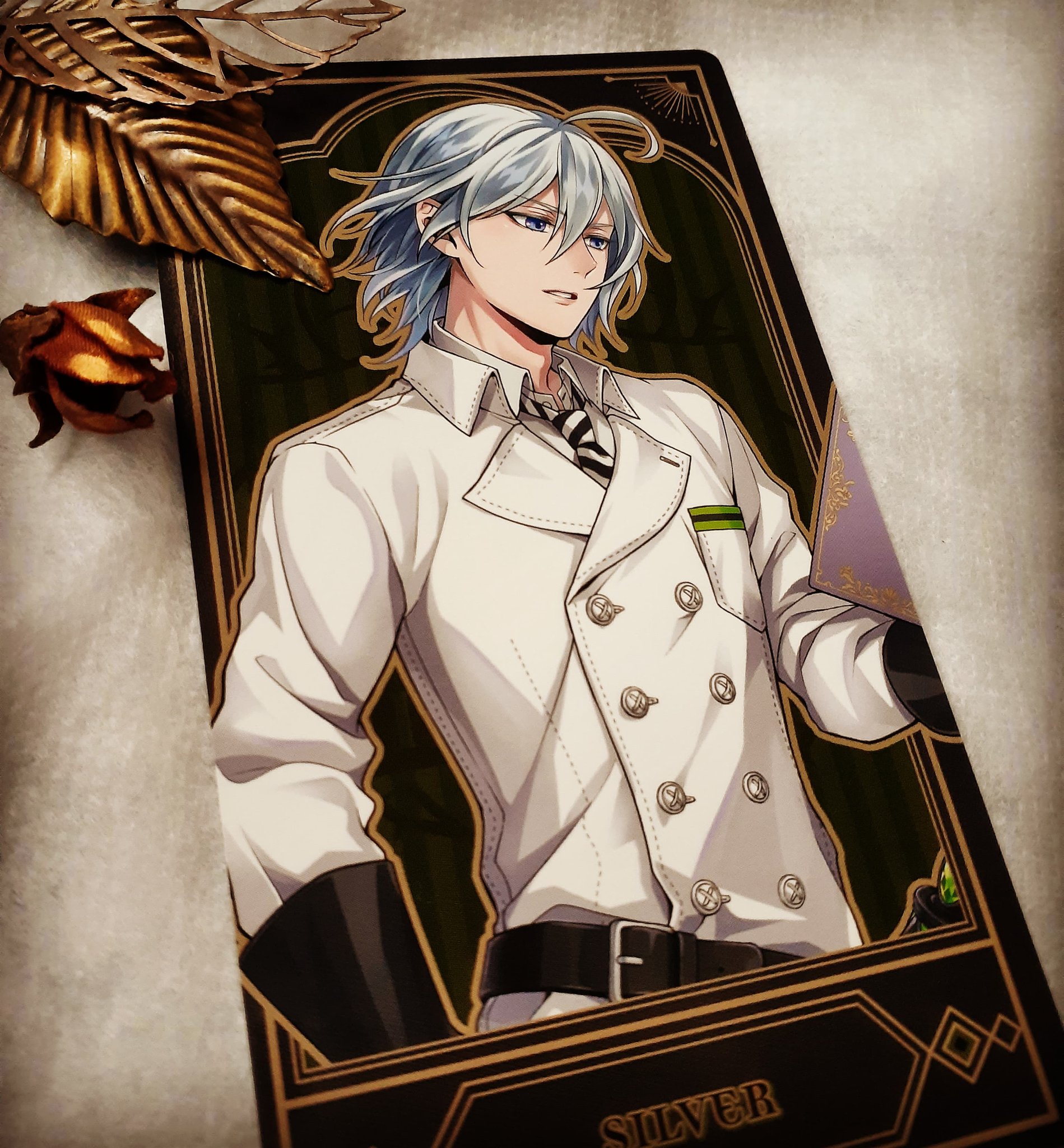 ツナ めっちゃ親父殿思いで優しくて もちろんマレウス様の護衛中はかっこいいシルバーが大好きだよ シルバーは寝顔イラスト見て即推しになりました シルバー シルバー誕生祭21 シルバー生誕祭21 ツイステッドワンダーランド ツイステ ディア