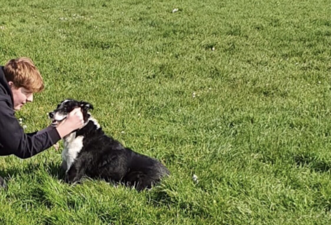 omarcomin_'s tweet photo. after a month being incredibly ill and fighting to see me turn 18 my dog, Colin is being put to rest in a few hours. I love him more than anything. Always will. He saved me and my family and got me through the hardest times of my life. I’ll miss you. You’re best dog ever. ❤️ https://t.co/9zmHzLuPe7