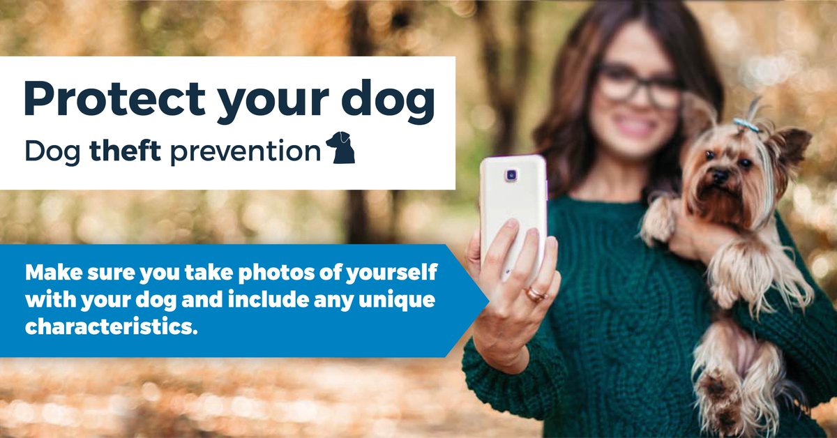 Make sure you take photos of yourself with your dog and include any unique characteristics. It can help others find your dog if lost or stolen. Read our pages for more advice dc.police.uk/dogsafety and dorset.police.uk/dogsafety
#Dogtheftprevention <a href="/HaylePolice/">Hayle and St Ives Police</a>