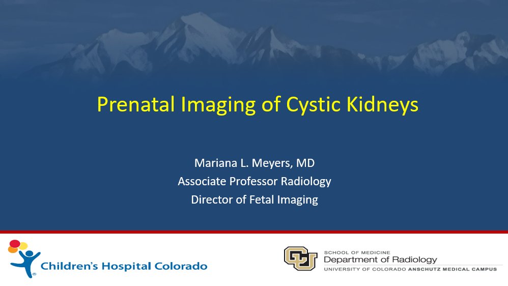 Tomorrow morning at 8 am ET, Dr. Mariana Meyers @marianazmeyers will be presenting at the International Fetal Webinar on prenatal imaging of cystic kidneys #imagingourfuture #pedsrad #fetalimaging @SocPedRad @CURadiology