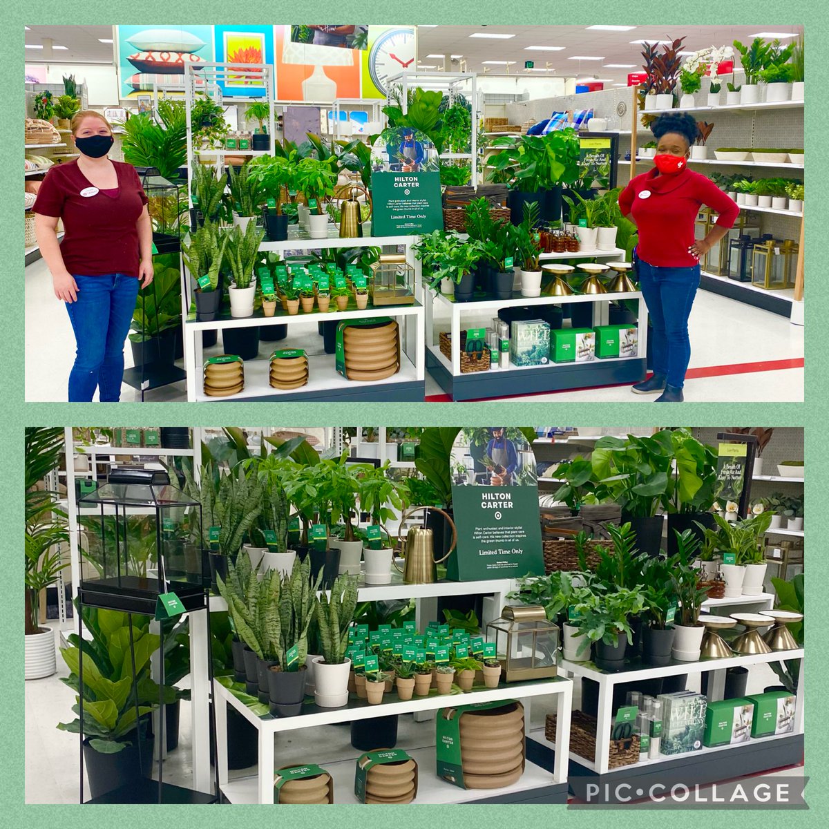 Aliceatarget (@aliceatarget) on Twitter photo Here at T2178 Bloomfield Hills we are excited to introduce to our Guests and see the amount of energy and buzz surrounding the Hilton Carter launch today! Canโt wait to see first day sales! โฆ<a href="/garmtgt/">George Armstrong</a>โฉ โฆ<a href="/jennifernbest/">Jennifer Best</a>โฉ @corey55329295 โฆ@TargetAaronโฉ Here at T2178 Bloomfield Hills we are excited to introduce to our Guests and see the amount of energy and buzz surrounding the Hilton Carter launch today! Canโt wait to see first day sales! โฆ<a href="/garmtgt/">George Armstrong</a>โฉ โฆ<a href="/jennifernbest/">Jennifer Best</a>โฉ @corey55329295 โฆ@TargetAaronโฉ