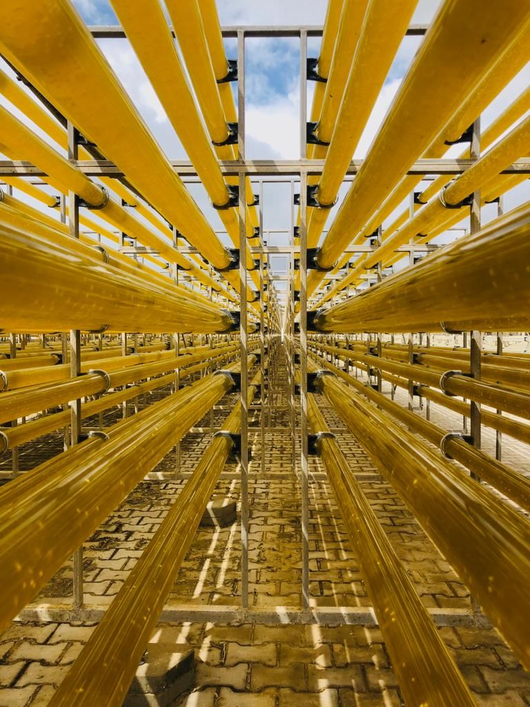 After months of hard work in project #MAGNIFICENT, we and our partners from Wageningen University are very pleased to announce the publication of the paper "Fucoxanthin production from Tisochrysis lutea and Phaeodactylum tricornutum at industrial scale" buff.ly/3hr5kvU