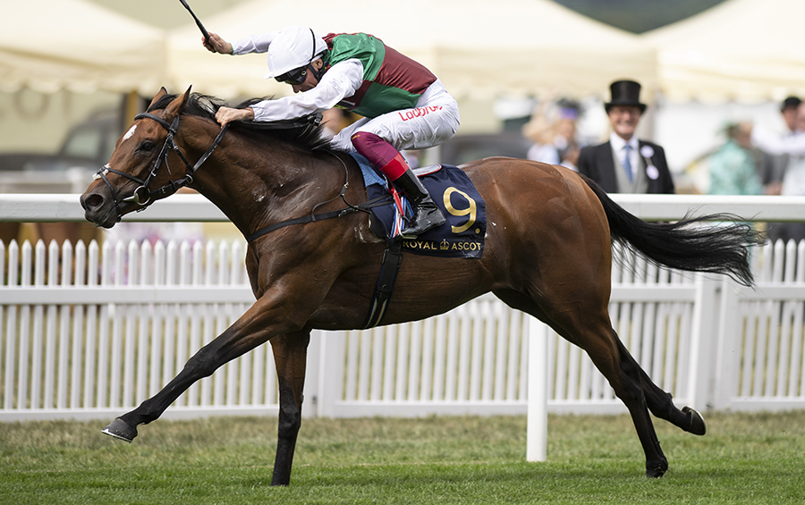 Without a sire for your late-foaling mare🏇🏻? Follow these breeders in choosing #WithoutParole #FastestSonOfFrankel #LifeintheFASTlane #NewSire2021 - <a href="/JuddmonteFarms/">Juddmonte</a>  <a href="/whattonmanor/">Whatton Manor Stud</a> <a href="/MoynsParkStud/">Moyns Park Stud</a>, Lesley &amp; Gary Middlebrook, Fiona &amp; Brent Williams, Nick Bradley Thoroughbreds, etc