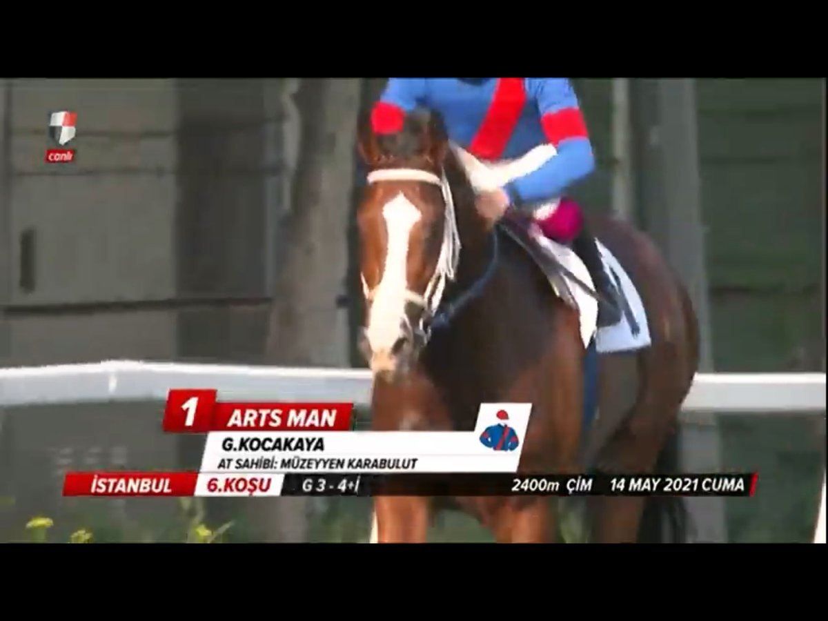 Arts Man , Bold Pilot çim pist rekoruna çok yaklaştı Arts Man , Bold Pilot çim pist rekoruna çok yaklaştı