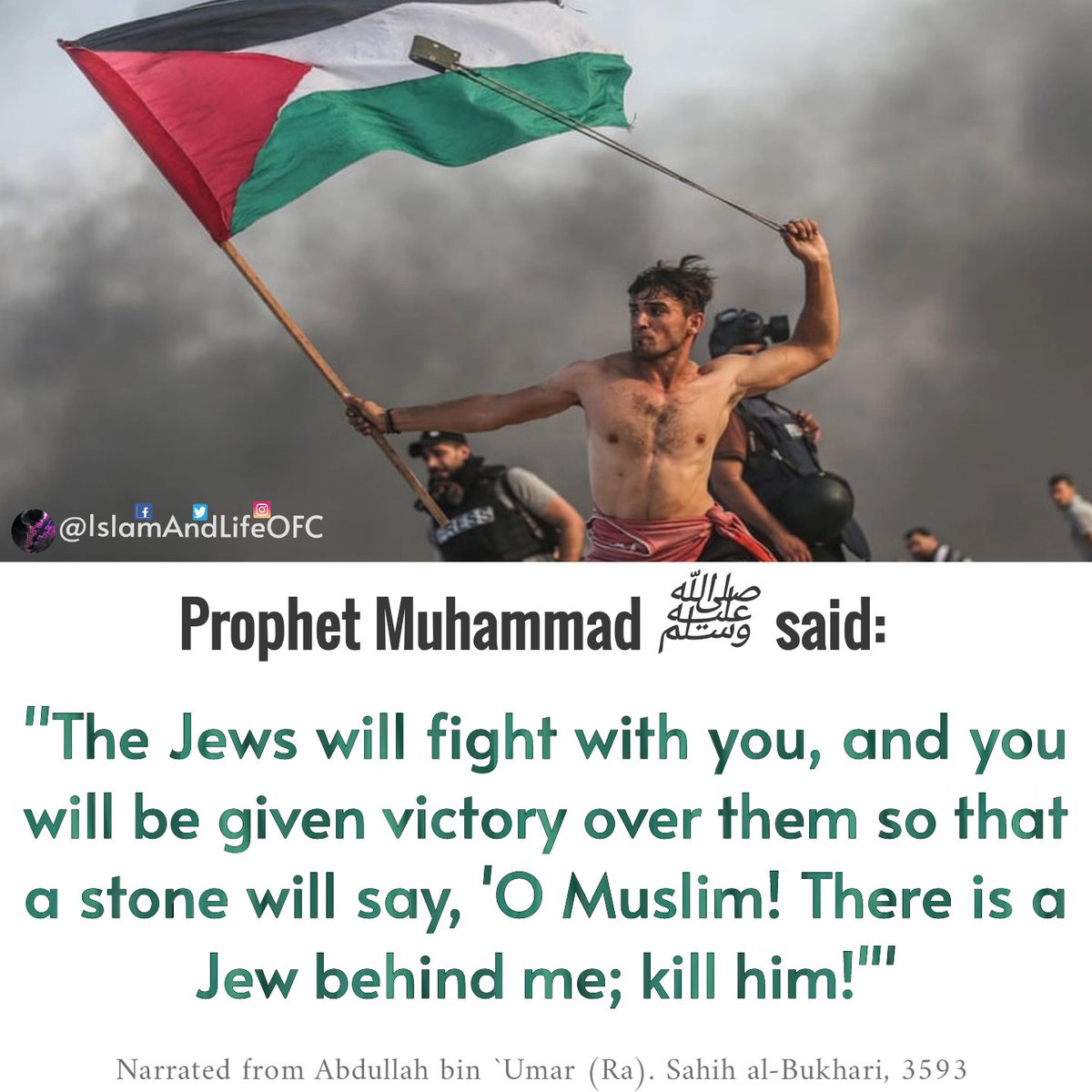 IslamAndLyfe's tweet photo. You can't defeat a country that is protected by Allah! O Allah, protect our innocent Muslim brothers &amp; sisters.
 #freepalastine #AqsaUnderAttack #GenocideinGaza #GazaUnderAttack https://t.co/8tmaqytLby