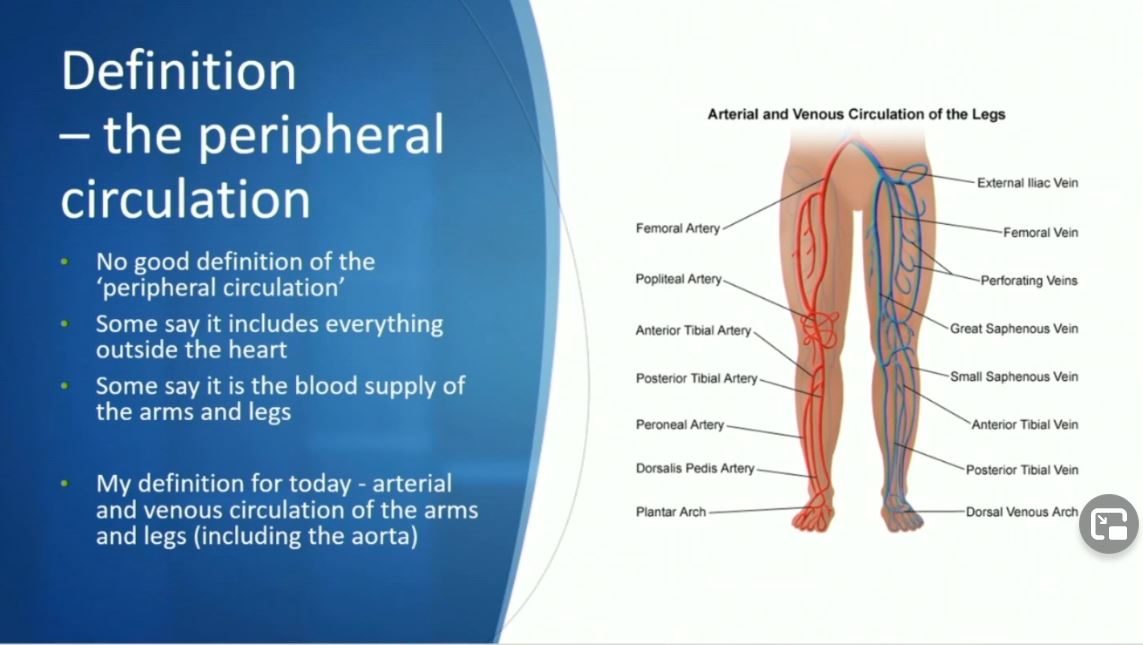 GeriSoc's tweet photo. There is no good definition of the #PeripheralCirculation with some saying it includes everything outside of the heart and others saying it is blood supply of the legs/arms #BGSconf https://t.co/jKRoLNC6p6