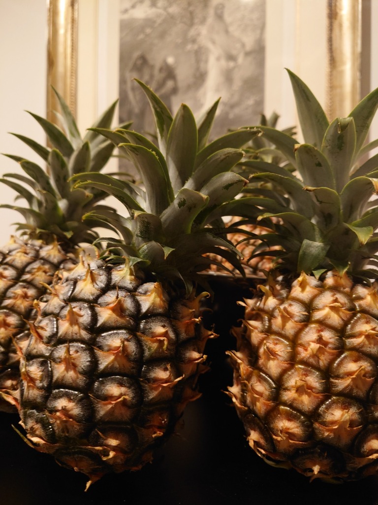 dietrolequinte_'s tweet photo. Ananas  

#DIETROLEQUINTE #MinamiAoyama 

#表参道 

#Ananas #Purgatorio #PEACHPINEAPPLE https://t.co/FlxFBqwftF https://t.co/GXKw86ta3H