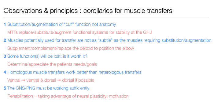 jophysiowinton's tweet photo. London Shoulder Meeting 2021 
Fantastic Presentation by Simon Lambert on #MuscleTransfer for #ShoulderArthroplasty @OR_UK 
@ShoulderGeek1 @jenna_bardsley @rachdawphysio @AnjuJaggi https://t.co/WtVOiEXSeH