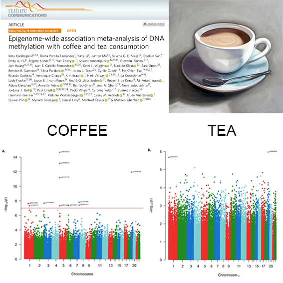 zdenkoherceg's tweet photo. Pleased that our paper on #coffee &amp; #tea consumption in people of European &amp; African-American ancestries revealing specific #epigenetic changes that may explain mechanism of action of coffee consumption in modulating disease risk is published in Nature Com https://t.co/C2GNnQcBm2 https://t.co/K07TckZqpM