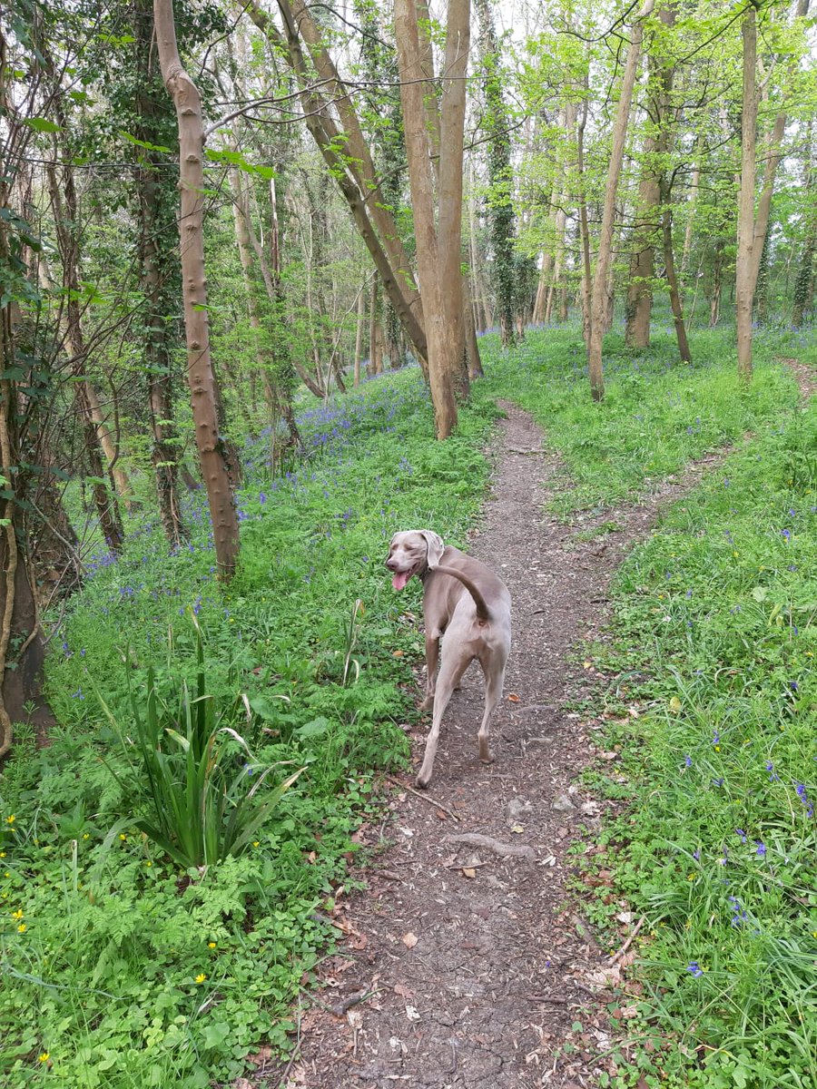 Royal High School PSHEE tweet media