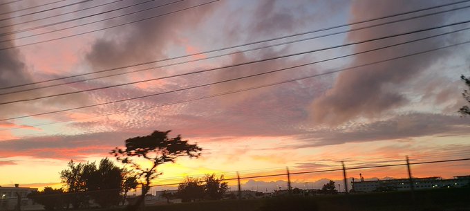 綺麗な夕焼けのtwitterイラスト検索結果