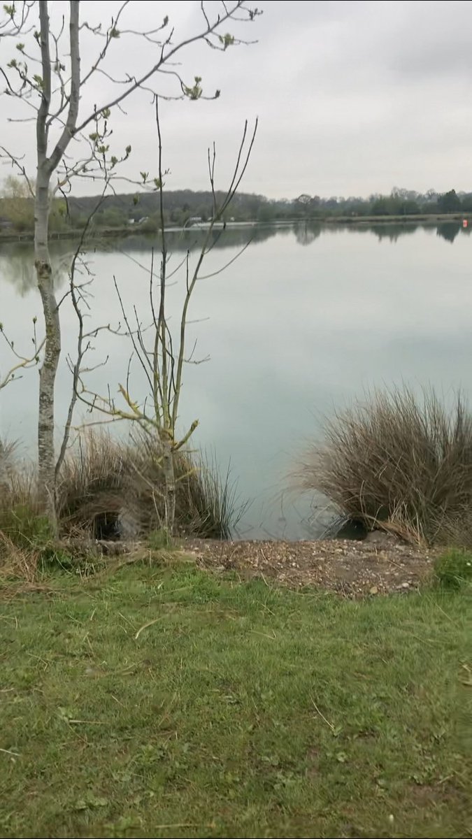 theSchoolOfCode's tweet photo. This year's #MentalHealthAwarenessWeek theme is #Nature: ๐ฑ
Here are some photos for you all to enjoy, taken by members of the #SoCCommunity whilst out on their walks..
#schoolofcode https://t.co/Lus9c8UZy5