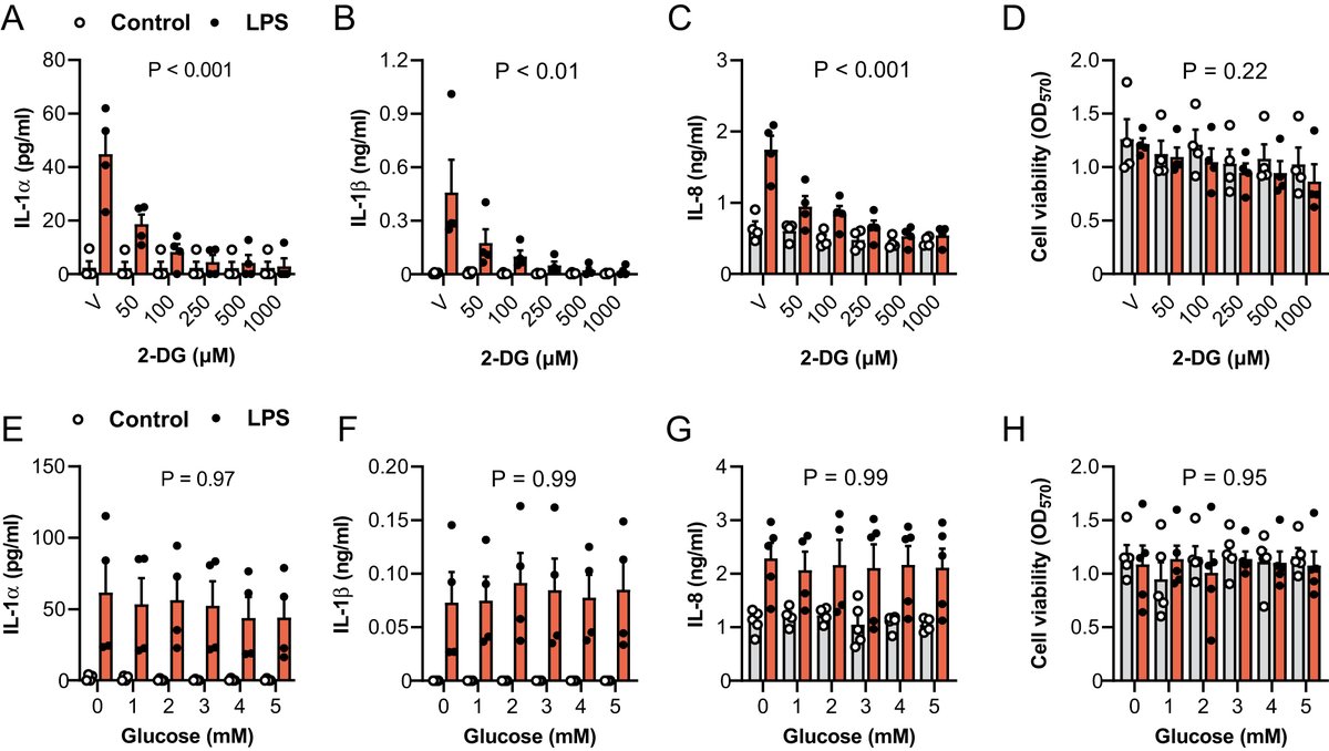 ReprodJournal's tweet photo. Research in Reproduction by Anthony D Horlock et al. 'Manipulating bovine granulosa cell energy metabolism limits inflammation' https://t.co/NHpoRmZ4gn https://t.co/cuq3TW6Zud