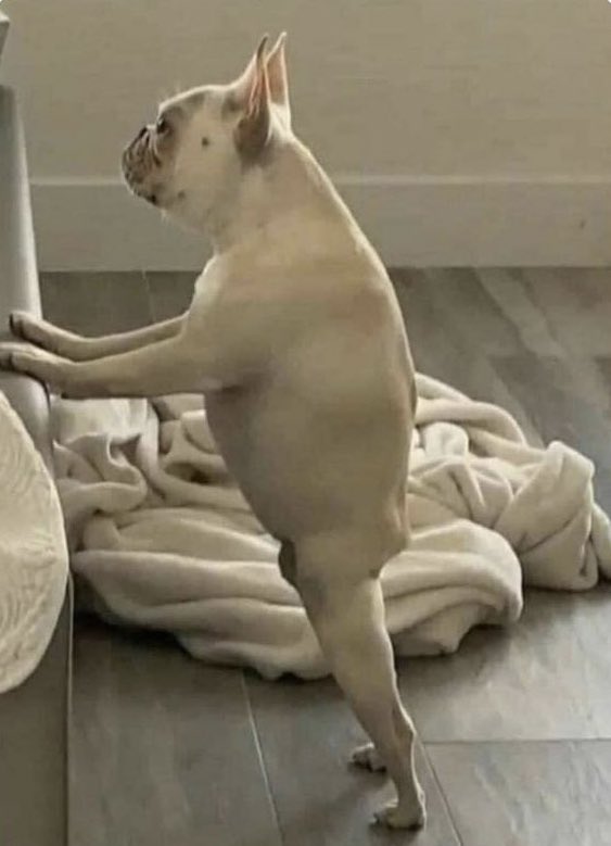 Men over 35 in skinny jeans.