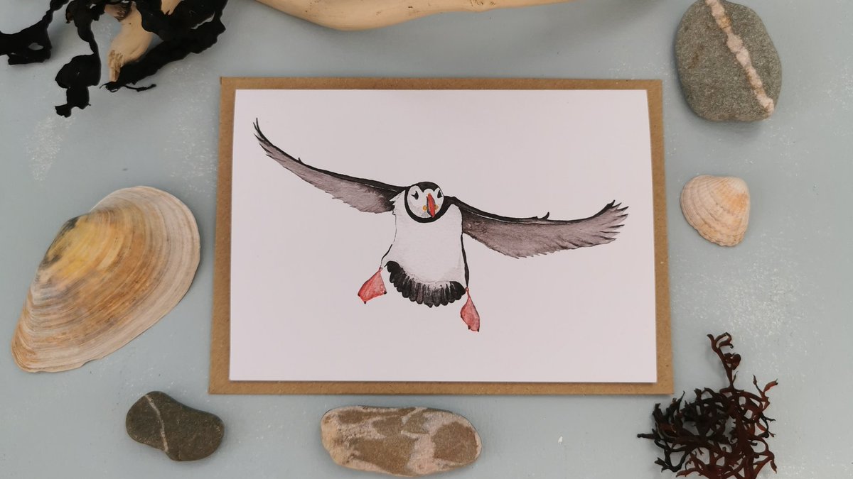 Happy #puffinFriday! Puffins have landed as my newest collection Coastal #Puffins is now live in my Etsy shop! There are greetings cards, sticker packs, wrapping paper and more, all perfect for #Puffin enthusiasts! 💙 etsy.me/33K64nu
#UKGiftHour #greetingcard #etsyuk