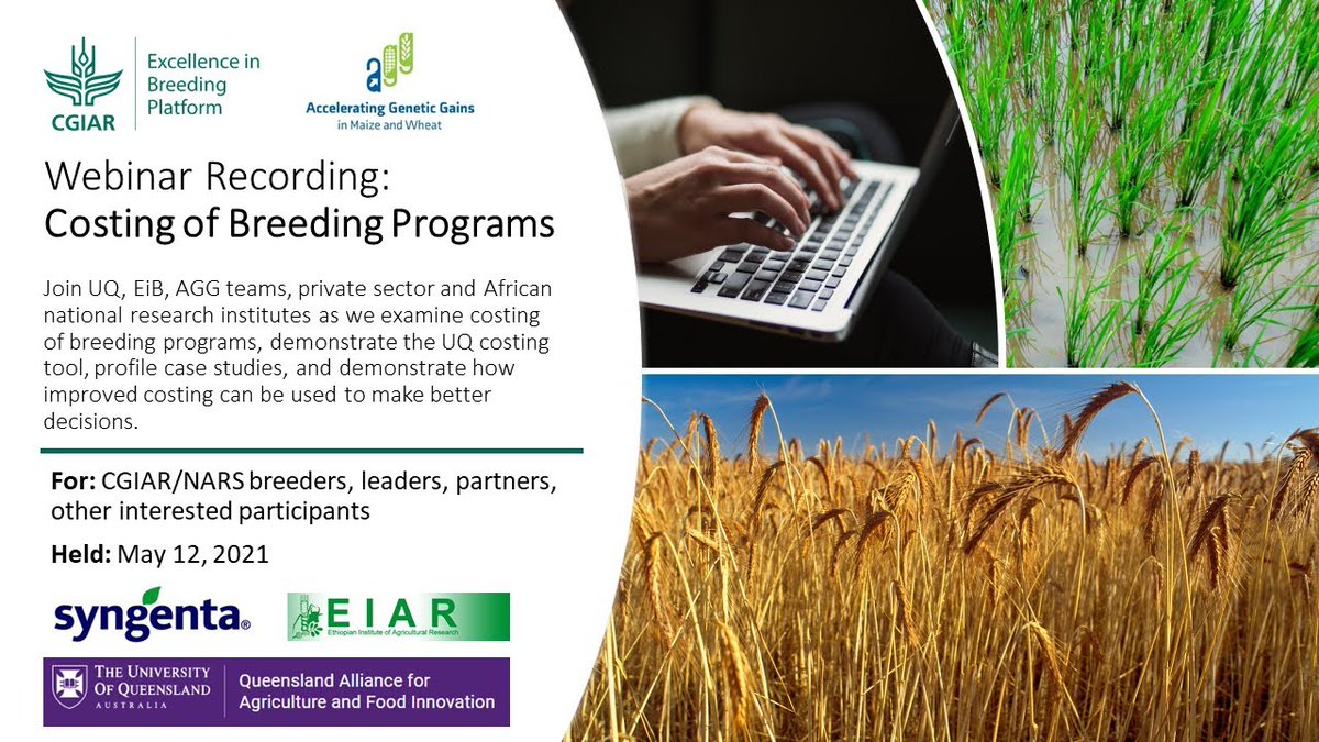 CGIARbreeding's tweet image. Webinar recording: 🎦 

How can improved costing be used to make better decisions? 

@QAAFI @Syngenta @eiarofficial #AGGproject @CIMMYT examine costing of #BreedingPrograms, demonstrate the UQ costing tool, profile case studies

👀👉youtu.be/x8QXauBzhYo