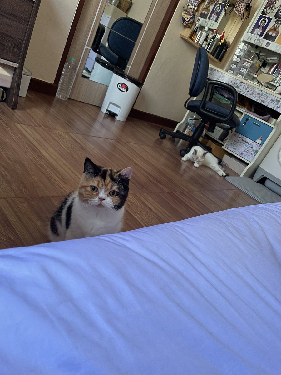 yayee2548's tweet image. กุเจอภาพนี้ทุกเช้า ยังไม่เข้าใจว่ามันจะเอาอะไร