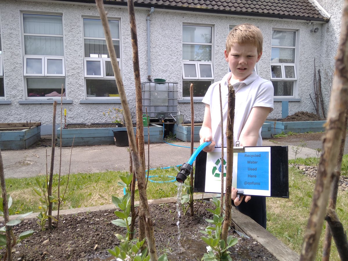 qofuns's tweet photo. Excellent way to #ConserveWater SH-Recycled Water Used Here! @qofuns Rainwater harvesting/collected rainwater is used around our garden for plants like Broad Beans & perennial flowers. No need for mains water here @GreenSchoolsIre #GSCompetition @IrishWater You can do it too! https://t.co/ovbL0AeNQR