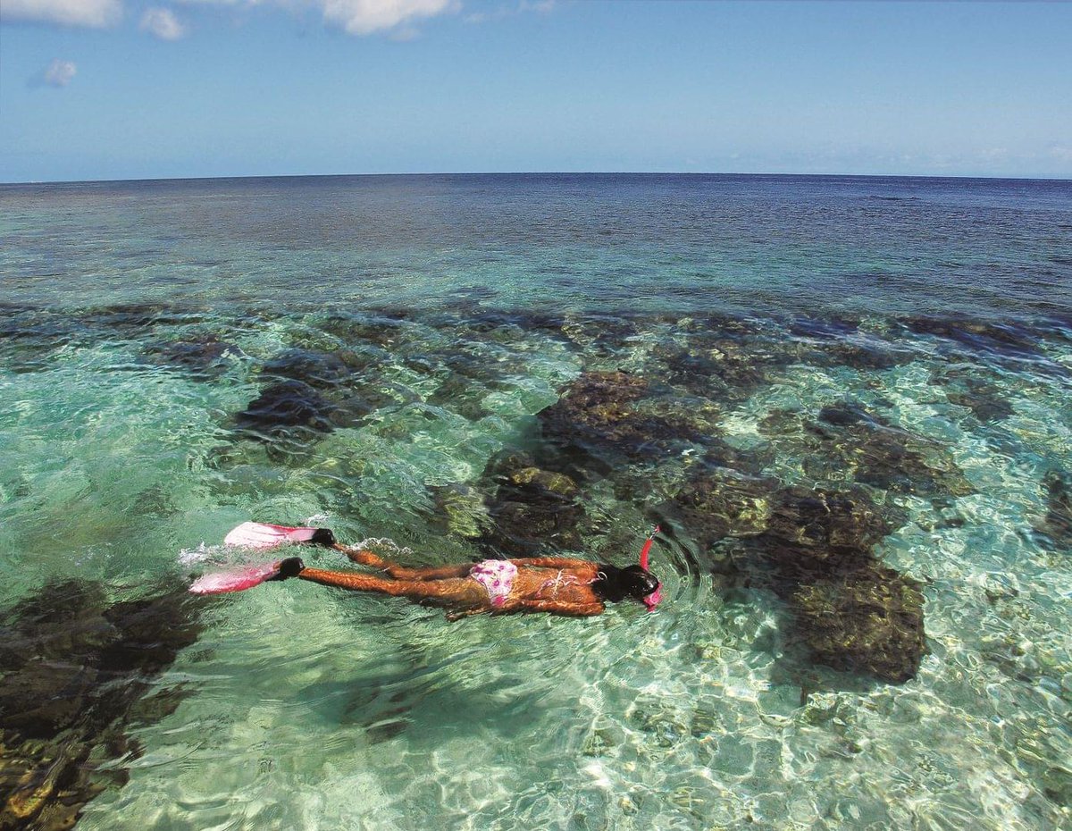 ScubaverseMedia's tweet photo. Ten Sensational Spots to Snorkel or Learn to Dive!
https://t.co/KSKrDPpmIo #scuba #diving #snorkel #snorkeling #snorkelling #learntodive #blog https://t.co/zttpwoc1Ge