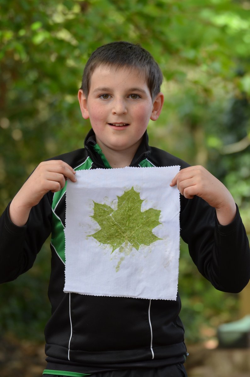 RipleyCourtPrep's tweet photo. Year 6 thoroughly enjoyed learning the Japanese art of ‘Hapa Zome’ earlier this week.
#RipleyCourtPrep #PrepSchoolSurrey #ForestSchool #HapaZome #FridayFeeling #SurreyMums #WokingMums #GuildfordMums #WestByfleetMums #CobhamMums #SendMums #WeybridgeMums https://t.co/r3XekhOWEa