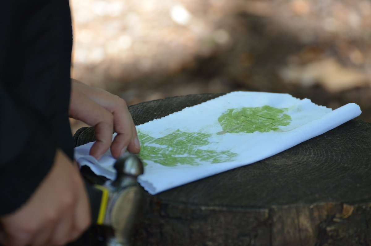 RipleyCourtPrep's tweet photo. Year 6 thoroughly enjoyed learning the Japanese art of ‘Hapa Zome’ earlier this week.
#RipleyCourtPrep #PrepSchoolSurrey #ForestSchool #HapaZome #FridayFeeling #SurreyMums #WokingMums #GuildfordMums #WestByfleetMums #CobhamMums #SendMums #WeybridgeMums https://t.co/r3XekhOWEa