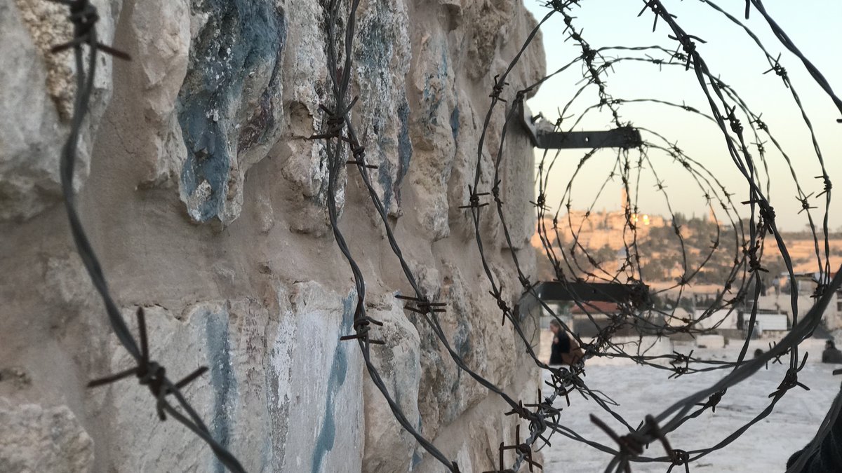 Margaret Karram: rimettiamo al centro la riconciliazione e la preghiera.
Di fronte all’escalation di violenza in Terra Santa, Colombia, Myanmar e in diversi Paesi africani la Presidente dei Focolari rivolge un appello alle comunità del Movimento nel mondo bit.ly/3eO3WBM