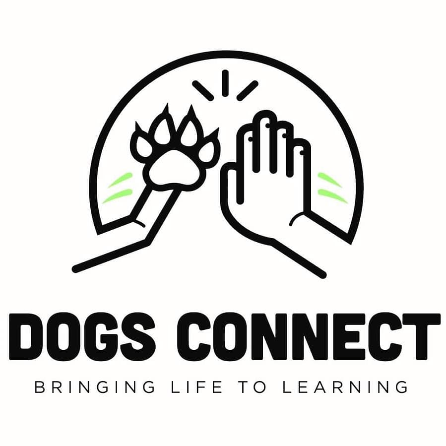 WhittleseaSeco1's tweet photo. Excited to work with @DogsConnect and welcome our wellbeing dog Effie.
Effie is a Golden Retriever x Spaniel, intelligent dogs known for their trainability, loyalty, and wonderful temperament. Staff are being trained to work with Effie https://t.co/G2v0scw2Gl