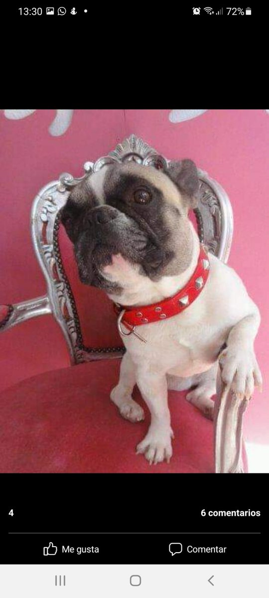 I will miss you very much buddy, RIP Duque