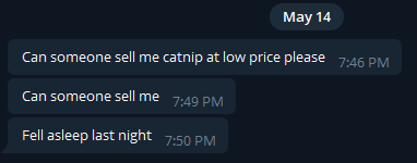 CatnipMoney's tweet image. #DontSleepOnCATNIP #NIPSTERS $CATNIP #catSZN