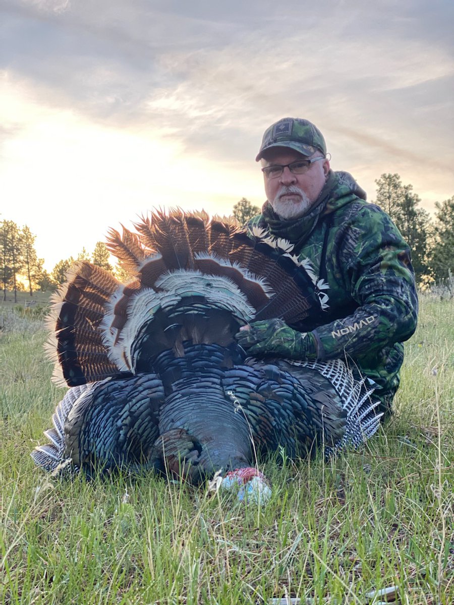 osceolaoutdoors's tweet photo. 2021 Grand slam complete! Montana knocked off my list. #nomadoutdoor #mossyoak #benelli_usa #tetra #apex_ammunition #avian_x #itsanobsession #gearthathunts https://t.co/8ijd8VUrbN