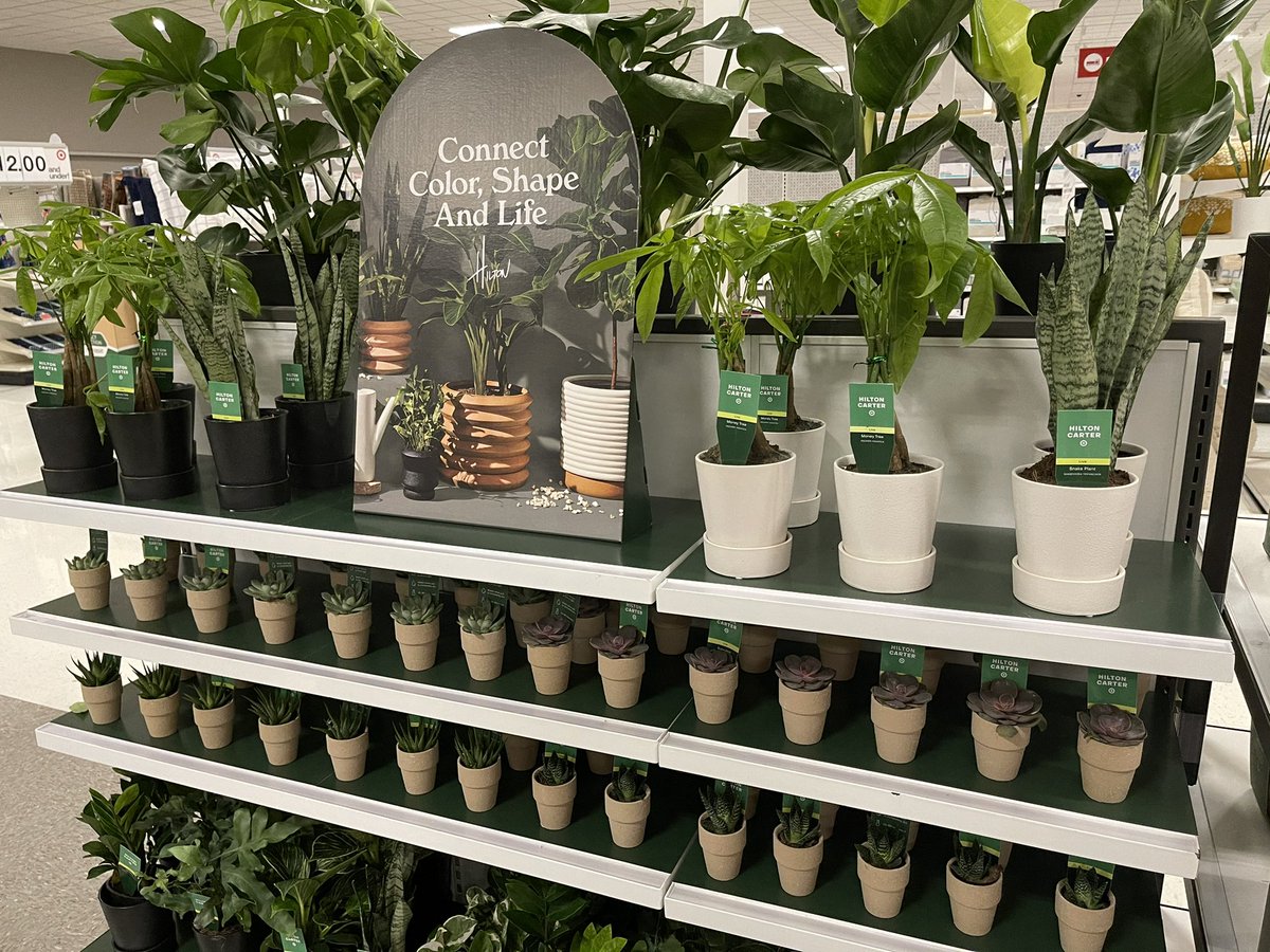 Come check out <a href="/Target/">Target</a>’s new limited time offer collection, Hilton Carter! His assortment of live and faux plants “inspires the green thumb in all of us.” #TargetxHiltonCarter #T1777
